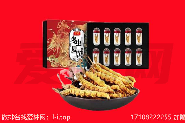 齐齐哈尔市回收虫草.jpg